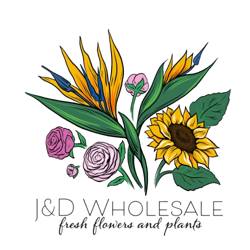 J&D Wholesale logo