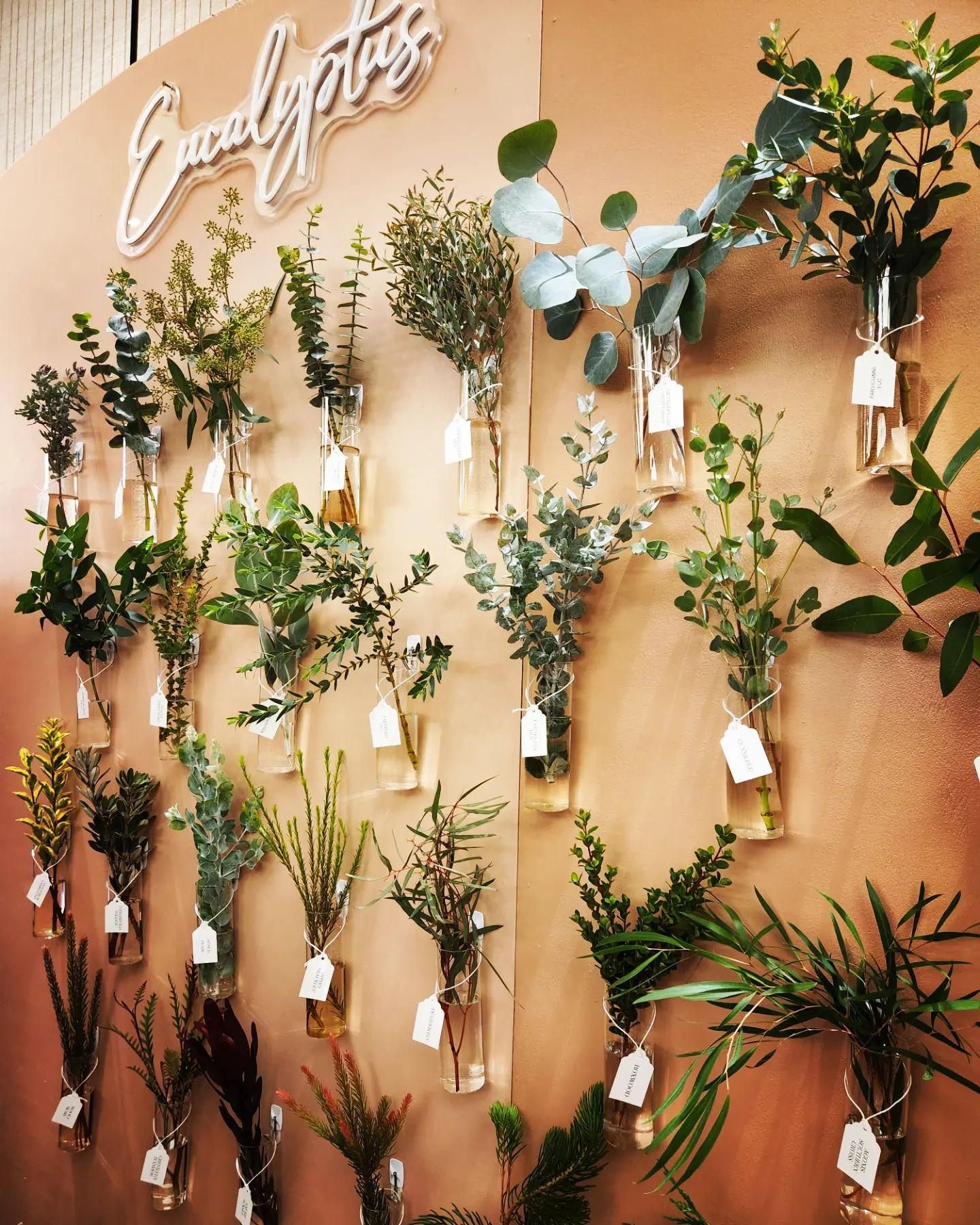 fresh greenery