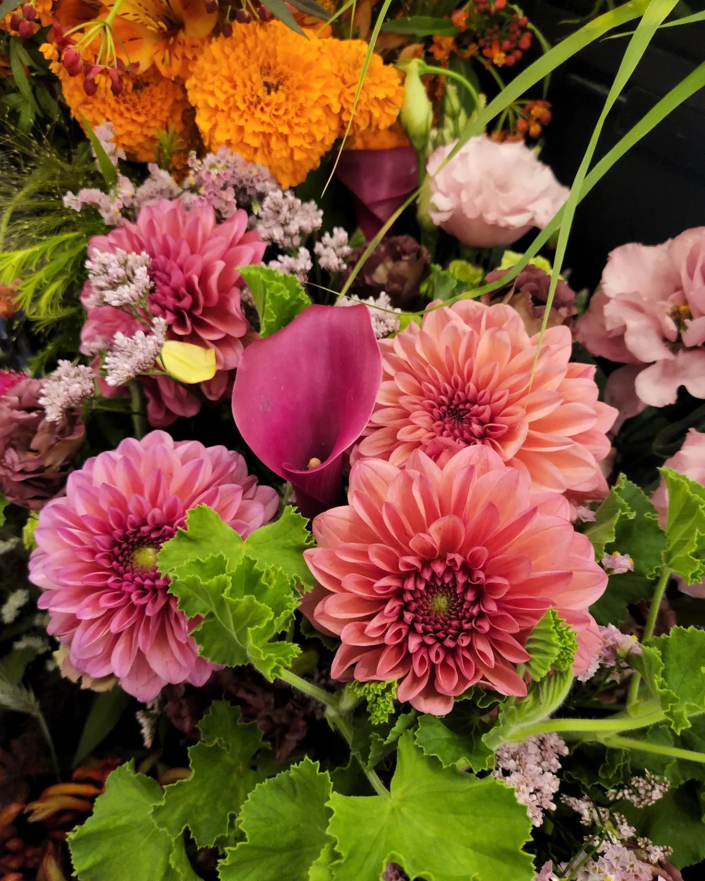 pink mums