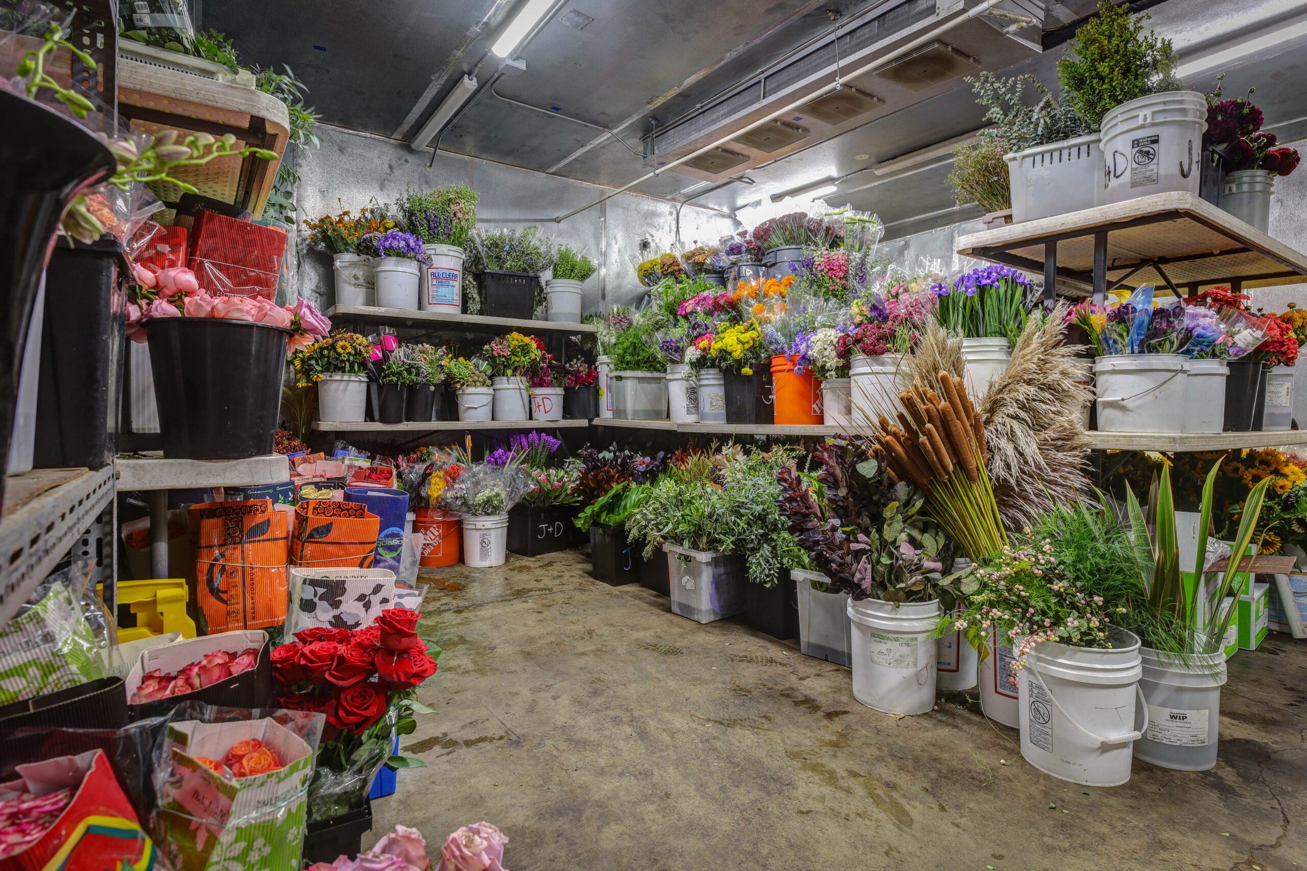 J&D Wholesale buckets of flowers in floral refrigerator