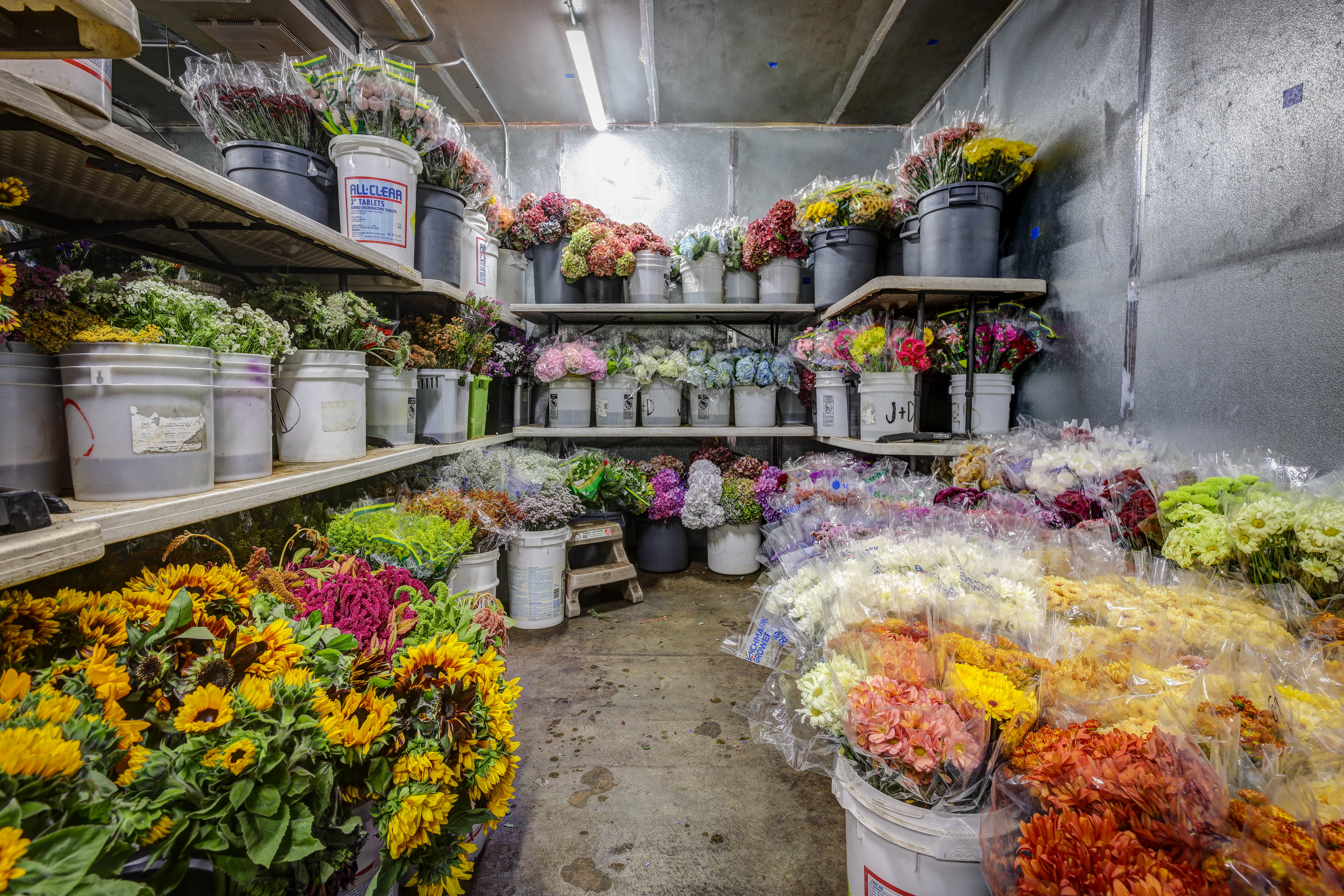wholesale flowers in cooler