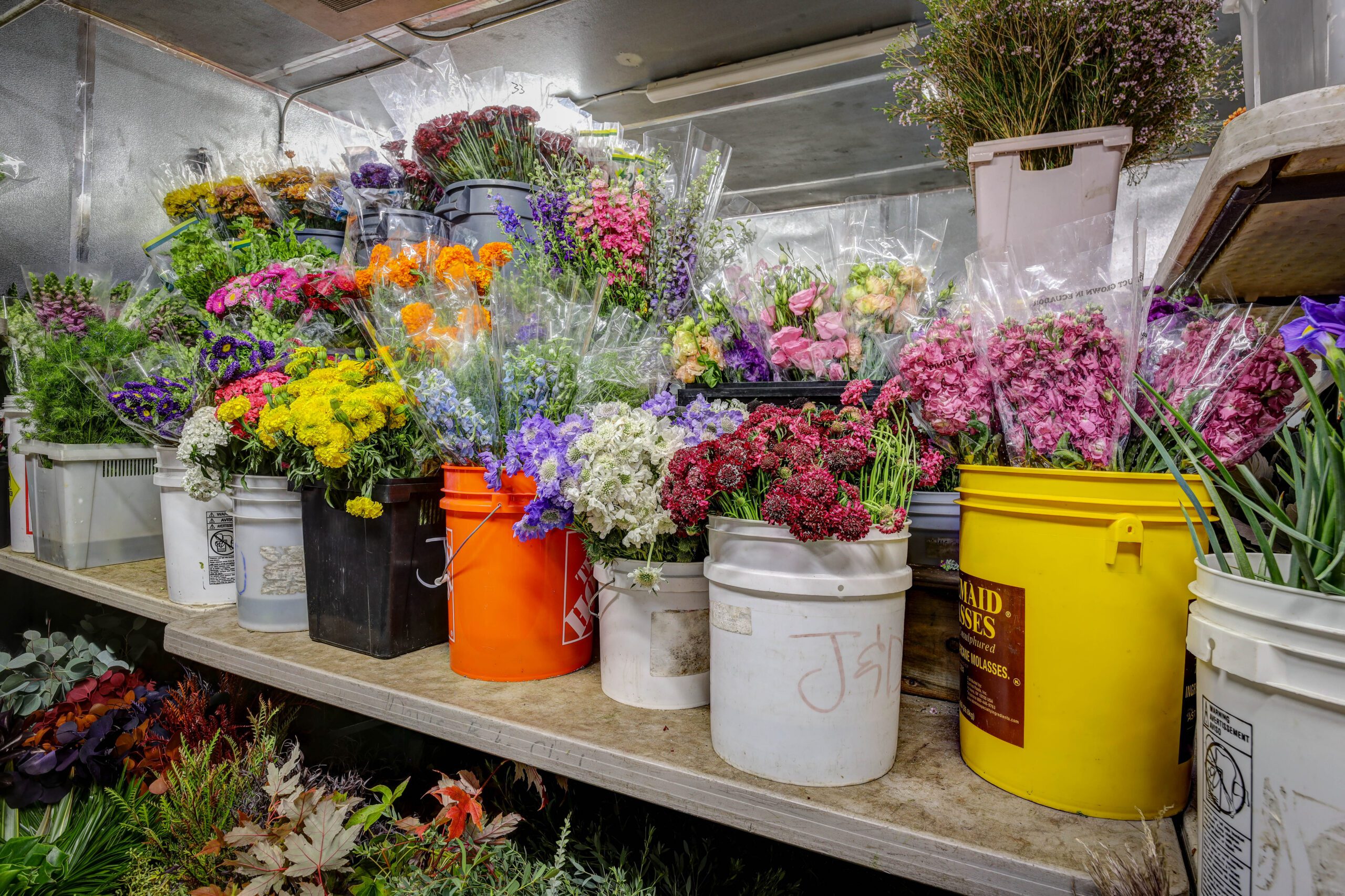 J&D Wholesale buckets of flowers